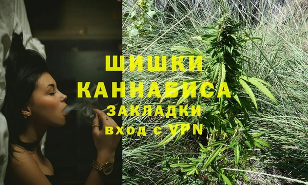 прущие крисы Богданович