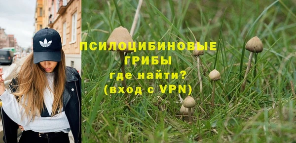 прущие крисы Богданович
