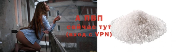 прущие крисы Богданович