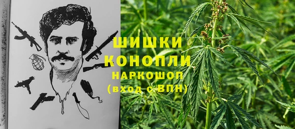 таблы Богородицк