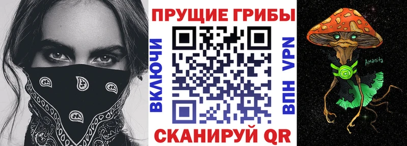 Галлюциногенные грибы Magic Shrooms OMG ONION shop Telegram как найти закладки Туран