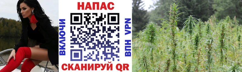 Канабис план Туран
